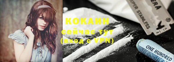 ПСИЛОЦИБИНОВЫЕ ГРИБЫ Кукмор