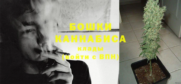 ПСИЛОЦИБИНОВЫЕ ГРИБЫ Кукмор
