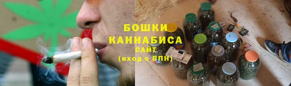 ПСИЛОЦИБИНОВЫЕ ГРИБЫ Кукмор