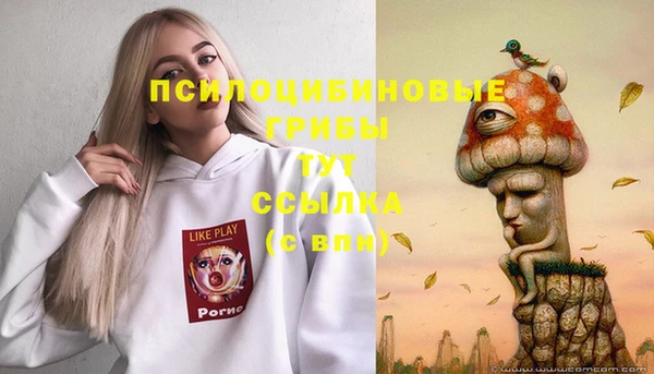 синтетический гашиш Кулебаки
