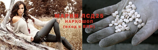 ПСИЛОЦИБИНОВЫЕ ГРИБЫ Кукмор